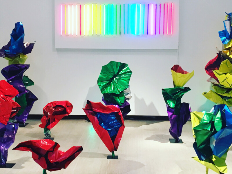 "Voyage En Fleurs" Fidan Bagirova Exhibition The Untitled Space