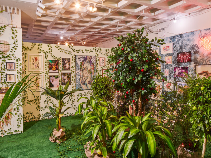 "EDEN" Special Project at SPRING/BREAK ART SHOW 2019 - Curated by Indira Cesarine for The Untitled Space, New York, March, 2019