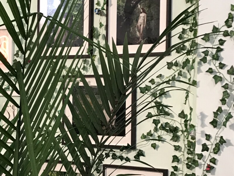 "EDEN" Special Project at SPRING/BREAK ART SHOW 2019 - Curated by Indira Cesarine for The Untitled Space, New York, March, 2019